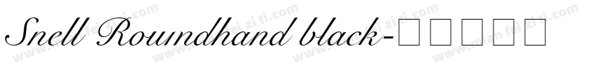 Snell Roumdhand black字体转换